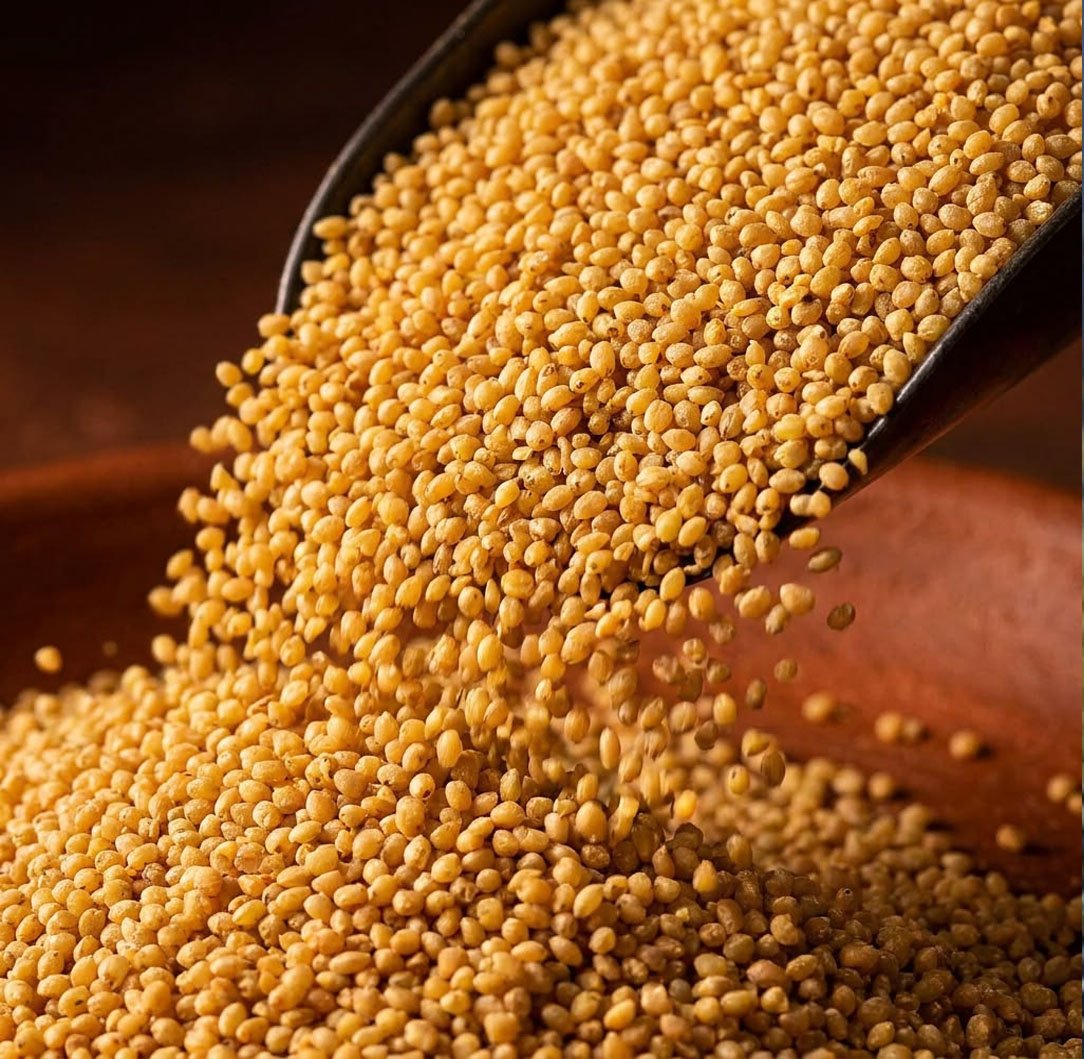 Foxtail Millet Image