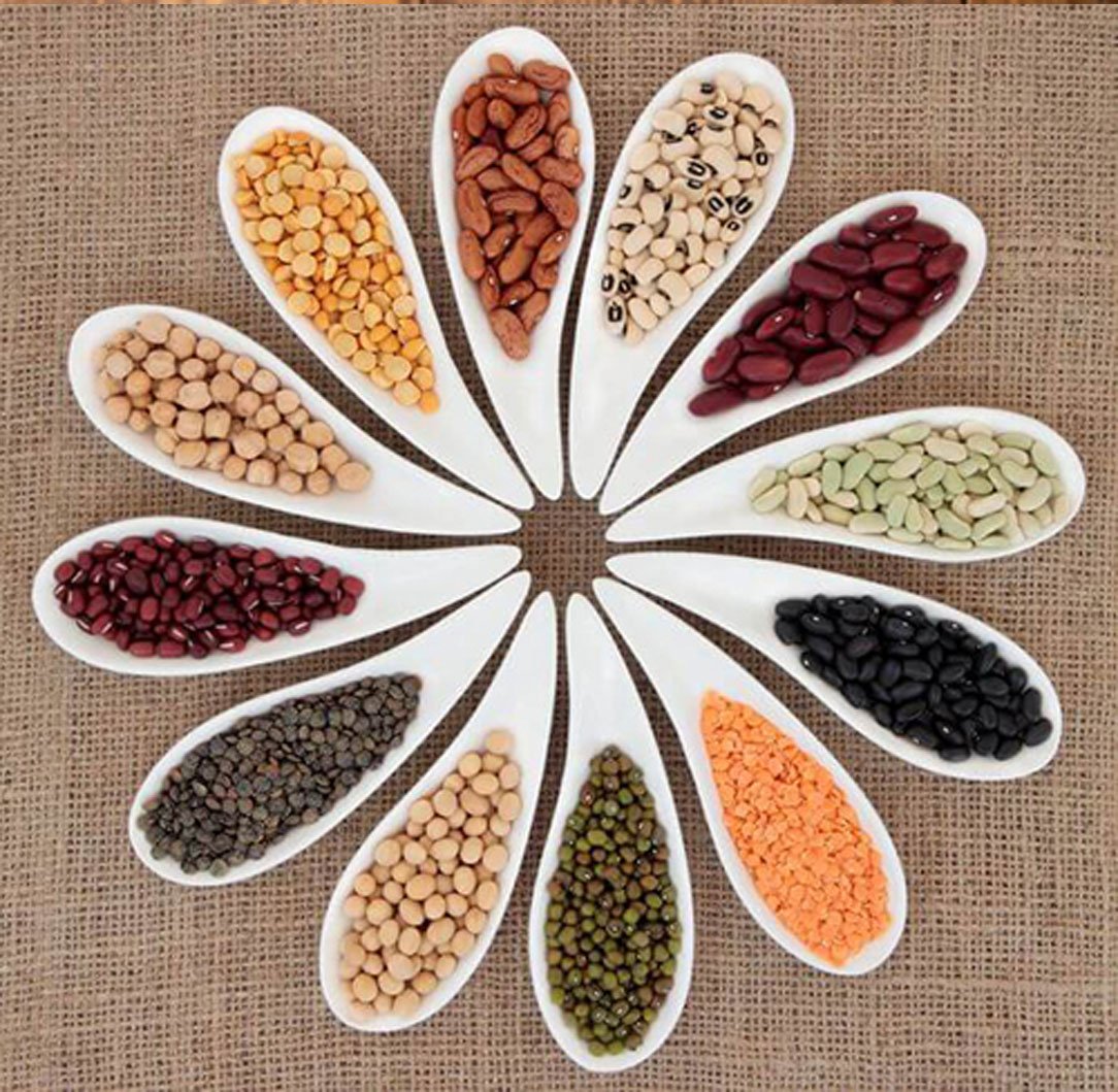 Organic Pulses Image