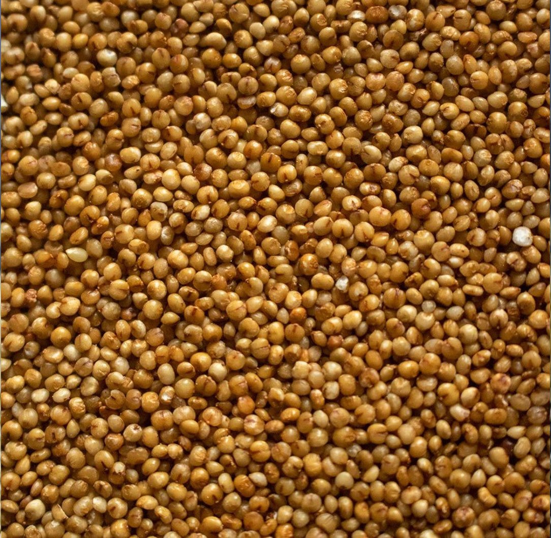 Kodo Millet Image
