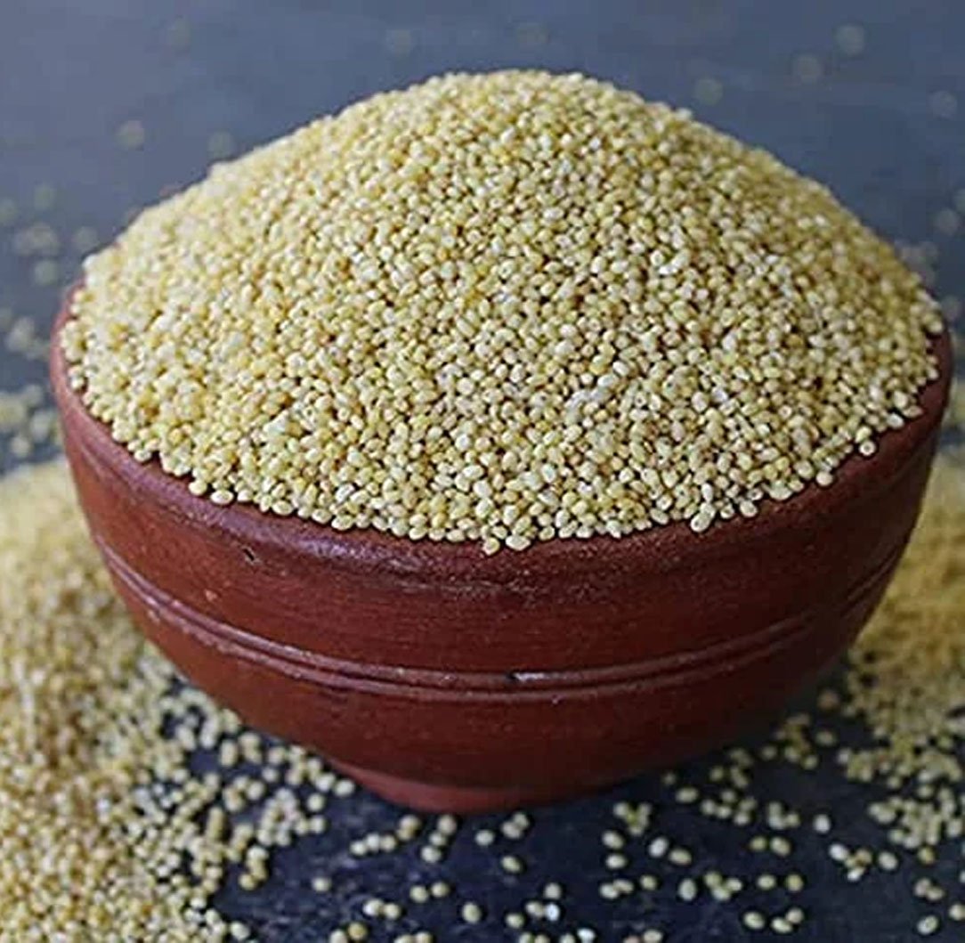 Little Millet Image